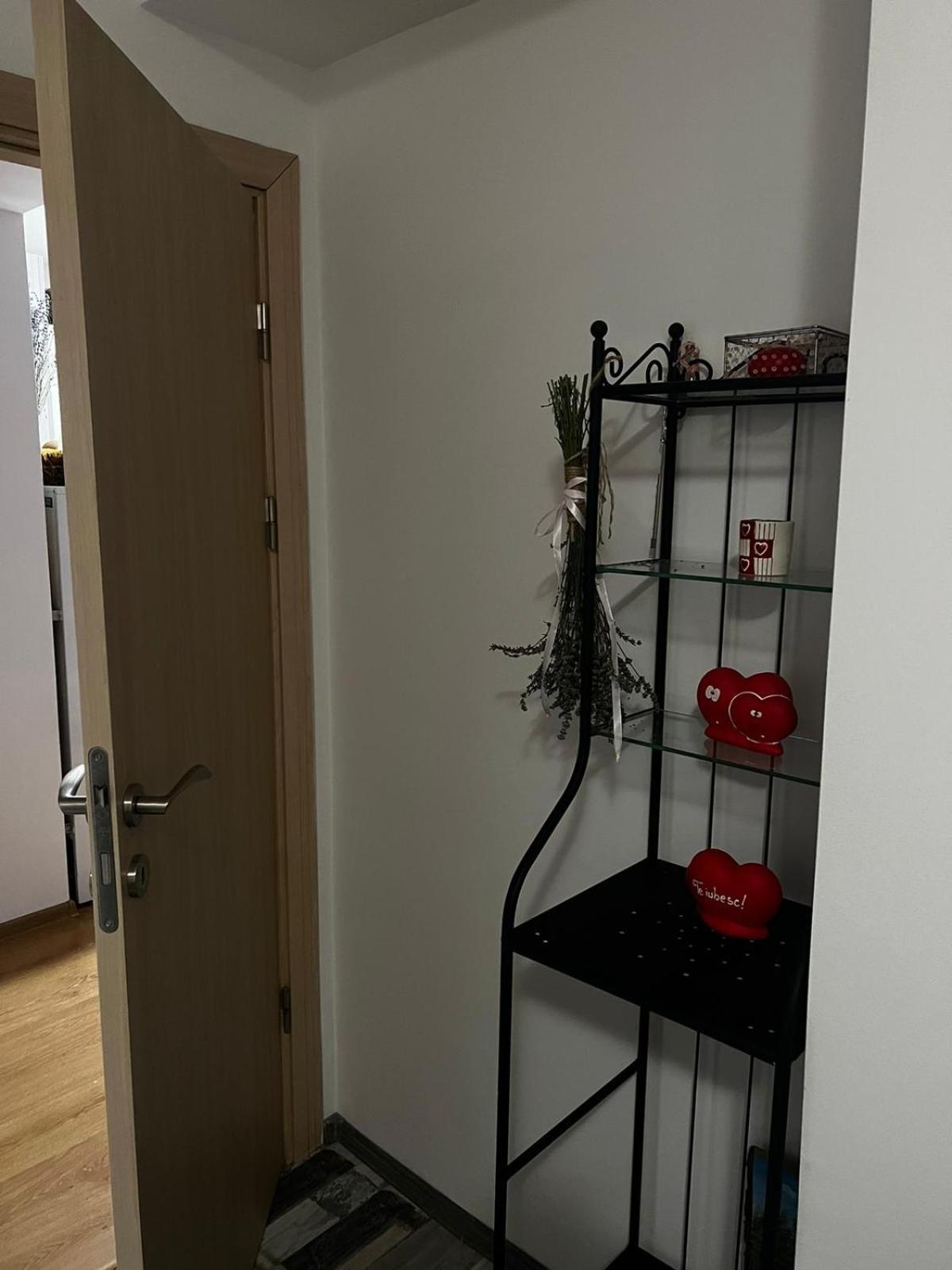 Apartament Ovo 시나이아 외부 사진